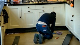 Opnieuw onbetrouwbare sites voor ongediertebestrijding