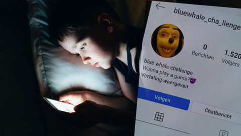'Blue Whale Challenge' gaat rond op sociale media: wat moet je weten?