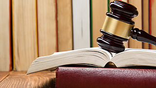 Seriebabbeldief Bosjo N. veroordeeld tot celstraf