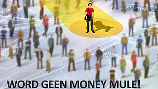 Twintig jongeren opgepakt om internetfraude