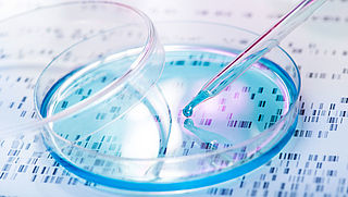 Nep-patholoog moet de cel in