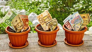 FIOD vindt 15.000 euro in bloempot