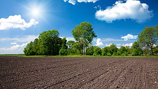 Collectieve claim tegen grondhandelaren