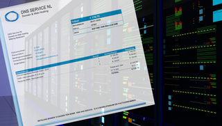 Spookfactuur van DNS Service NL voor webhosting in omloop