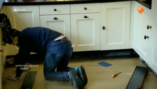 Ongediertebestrijders uit de lucht dankzij Opgelicht?!