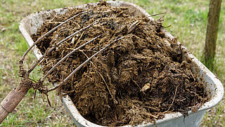 Gesjoemel met mest ook in Vlaanderen in opspraak