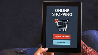 Het LMIO waarschuwt voor nep-webshop 'www.dysondeals.nl'