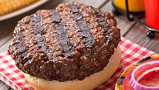 Nederlander leidde grote bende vleesfraudeurs