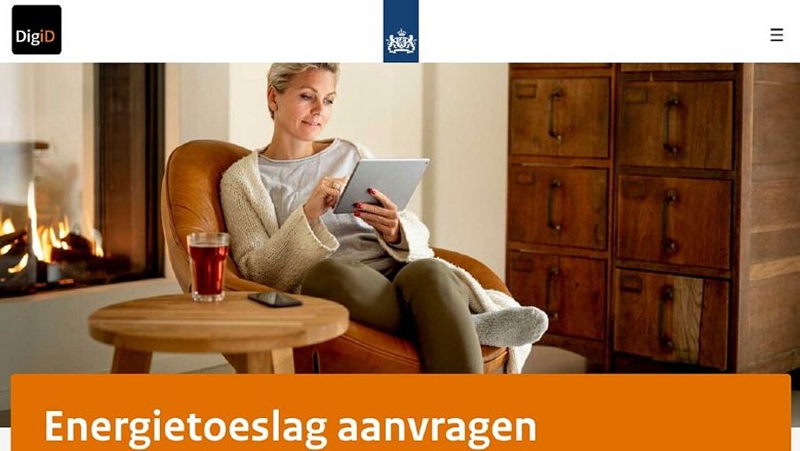 Nepsite MijnOverheid.