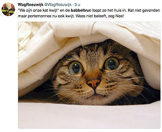Babbeltruc: 'Ik ben mijn kat kwijt'