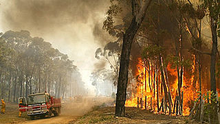 Australische autoriteiten slaan alarm over oplichting rondom verwoestende natuurbranden