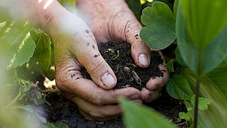 OM legt miljoenenbeslag wegens mestfraude