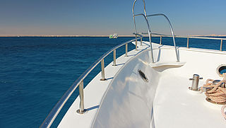 Twee jaar cel geëist tegen Britse die onbetaald cruises maakte