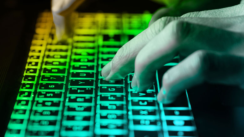 Nederlanders in de aanval tegen cybercrime